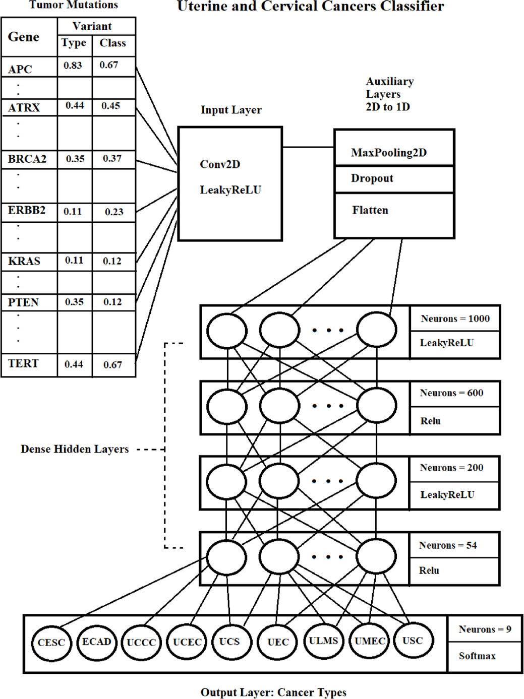 Mutational Analysis and Deep Learning Classification of Uterine and ...